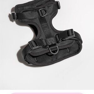 Black Dog Harness